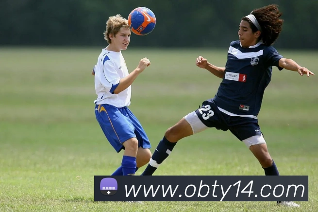 ob欧宝官网平台生态图